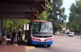 “Ningún coche de La Nueva Perla está adaptado para discapacitados”