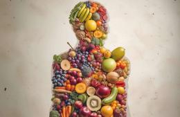 Del intestino al cerebro: la clave nutricional para una mente en equilibrio
