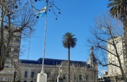 Ataques de pájaros en diferentes plazas de la ciudad