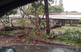 Intensa labor de las cuadrillas municipales tras el temporal