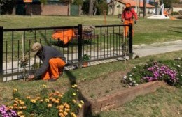 Avanzan las tareas en la Plaza Sargento Cabral