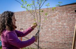 El Plan de Forestación avanza por los barrios