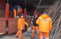 Comenzó la plantación de árboles en las veredas de vecinos que solicitaron un ejemplar