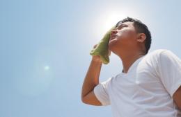 Pergamino ingresa en la ola de calor