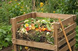 Taller de compostaje: aprender a transformar los residuos orgánicos en abono natural