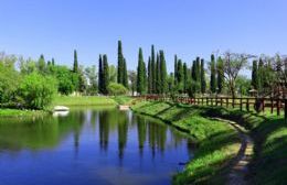 Los vehículos ya no podrán circular dentro del Parque Municipal