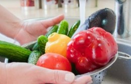 Nuevos cursos de manipulación de alimentos