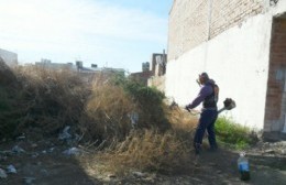 La comuna le aclaró a los vecinos que es obligatorio cumplir con el desmalezamiento del terreno