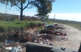 Intensa tarea de limpieza de basurales a cielo abierto