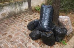 Cronograma de recolección de residuos voluminosos para febrero