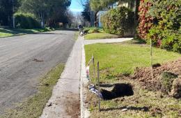 Obras de iluminación en los barrios La Rural y Atahualpa Yupanqui