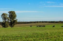 ¿A qué se debe el olor nauseabundo que invade el centro de la ciudad al atardecer?