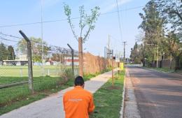 Pergamino fue reconocido por plantar más de 1400 árboles