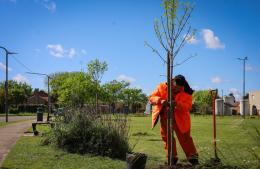 Avanza la reforestación de plazas