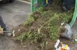 Vecinos multados por mal uso de los contenedores verdes