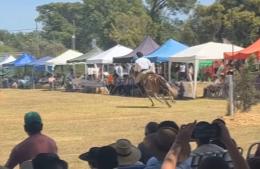 Prueba de Mansedumbre