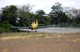 El intendente busca achicar los metros de exclusión para la aplicación de agroquímicos