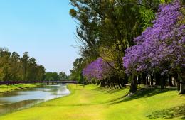 VIBRA el amor en el Arroyo Pergamino