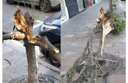 Vandalismo en el centro