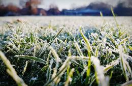 Entramos en otra semana de frio polar